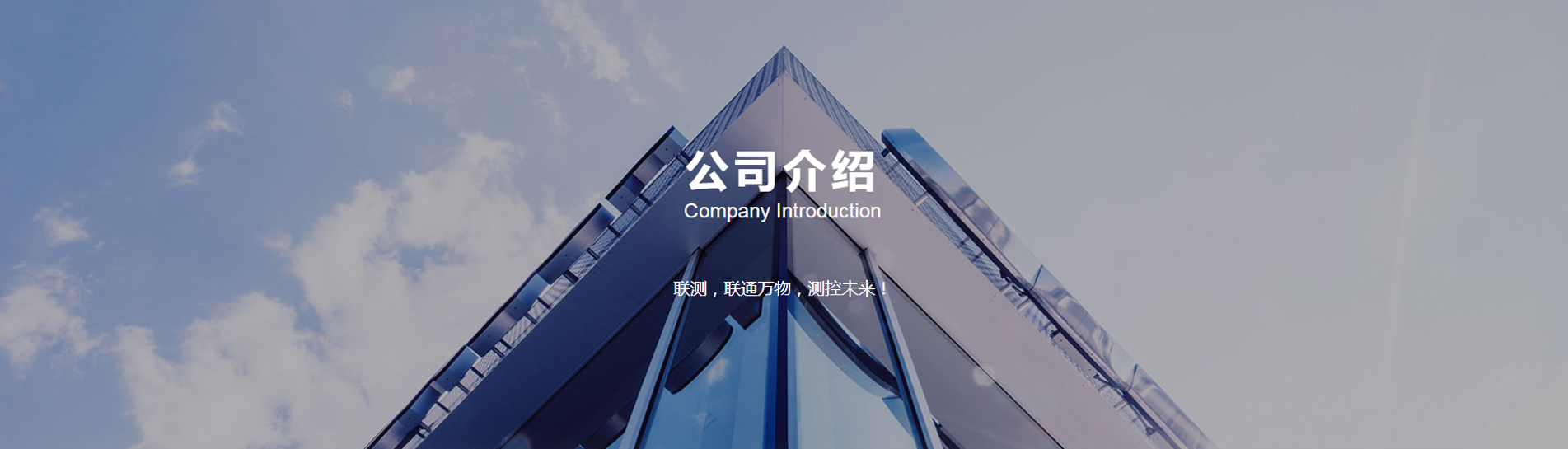 公司簡(jiǎn)介
